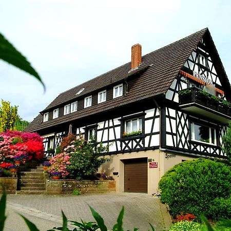 Pension Am Weinberg Sasbachwalden Ngoại thất bức ảnh