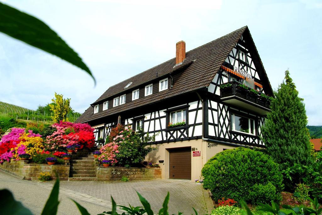 Pension Am Weinberg Sasbachwalden Ngoại thất bức ảnh